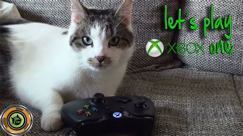 Lets Play Fifa 15 Xbox One Cat Edition HD YouTube