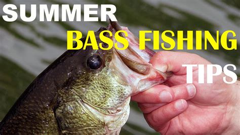 Summer Bass Fishing Tips Bass Fishing YouTube
