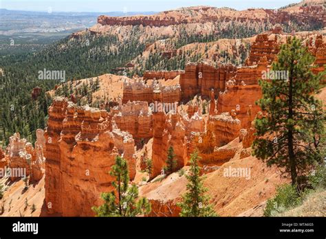 Hoodoos Of Bryce Canyon In Bryce Canyon National Park UT Stock Photo