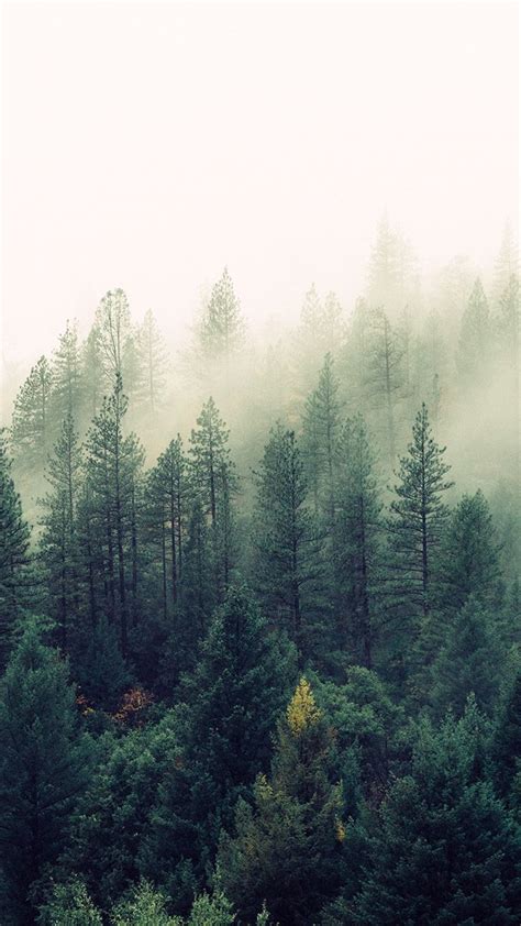 Back To Nature Iphone Wallpaper Collection Preppy Wallpapers Nature