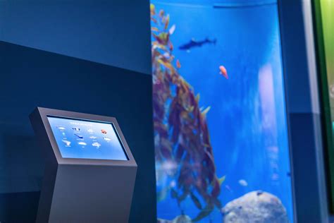 Pacific Seas Aquarium Creo
