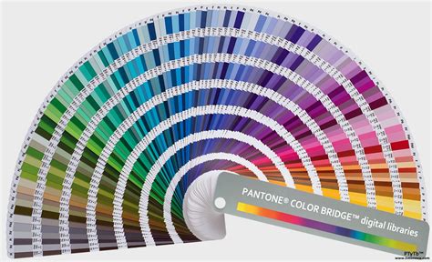 Pantone CMYK And RGB Colors Explained Create Professional Artwork