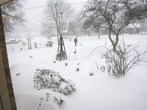 Snow Day Grand Rapids Michigan