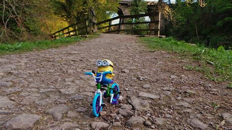 Minion Daves Adventures 11 Go On A Really Long Bike Rid Flickr
