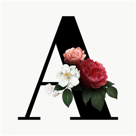 Hand drawn typography lettering phrase good morning starts with coffee. Floral letter A font | Free stock illustration - 582931