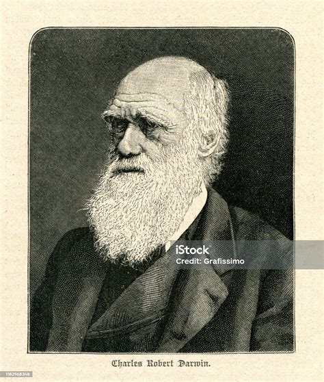 Charles Darwin Naturalist Portrait Illustration Stock Illustration