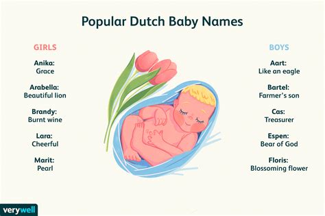 50 Dutch Baby Names Meanings And Origins