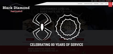 Whether you're having a problem with general pests such as spiders and ants. Black Diamond Pest Control of SOKY - Home | Facebook