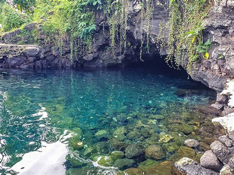 Swim Through A Cave In Samoas Piula Cave Pool