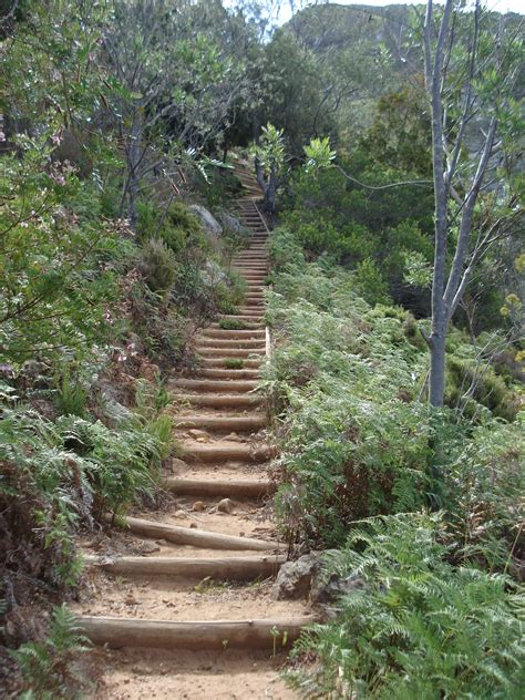 The Hiking Trail In Cecilia Forest Garden Stairs Garden Bridge