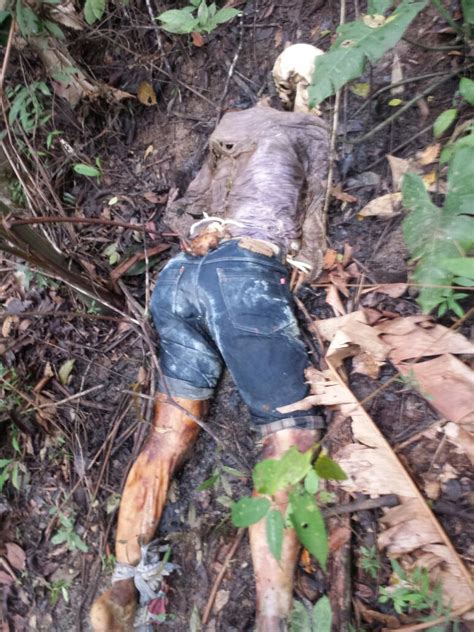 Holandatv é o canal de vídeos do portal do holanda, o site de notícias mais lido do amazonas e da região norte do brasil. CE039049230OSD0O03O0DO032 | Portal do Holanda - Notícias ...