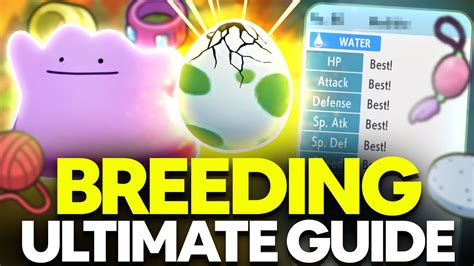 Ultimate Breeding Guide Perfect Ivs Natures Egg Moves Pokemon Brilliant Diamond And Shining