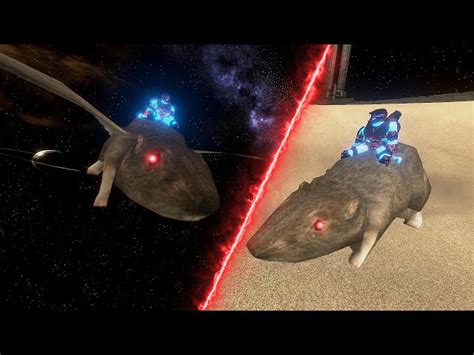 This Mod Makes The Halo 3 Rat Into A Flying Fire