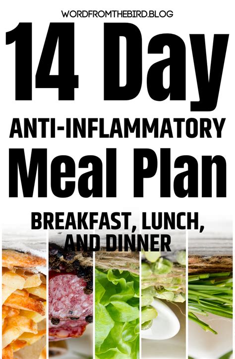 2 Week Anti Inflammatory Meal Plan Breakfast Lunch And Dinner