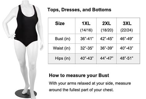 Women S Plus Size Measurement Chart