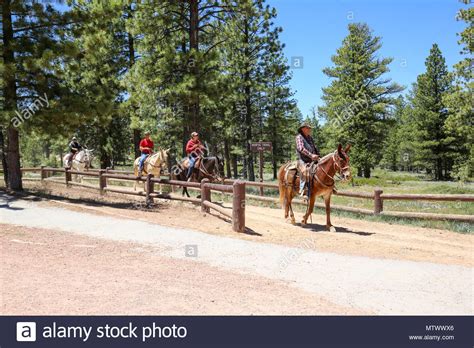 Horseback Riders In Bryce Canyon National Park Ut Stock Photo Alamy