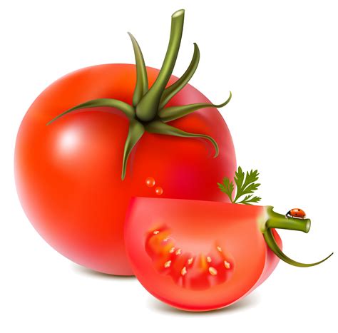 Red Tomatoes Png Image Red Tomato Tomato Vegetarian Recipes Easy