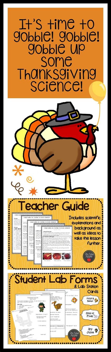 Science And Thanksgiving Worksheet