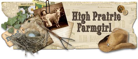 High Prairie Farmgirl Vintage Turkey Platter