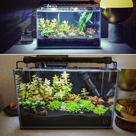 I don't see any electrical cord! NICREW ClassicLED Aquarium Light, Fish Tank Light with Extendable Brackets, White and Blue LEDs ...