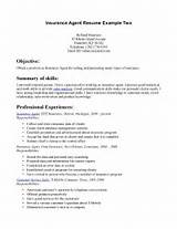 Pictures of Insurance Agent Resume Examples