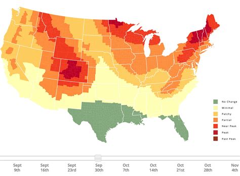 Interactive Foliage Map Allows Users To Find Primetime Fall Colors