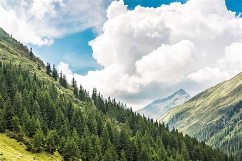 Beautiful Nature In Romanian Mountains Free Stock Photo Picjumbo