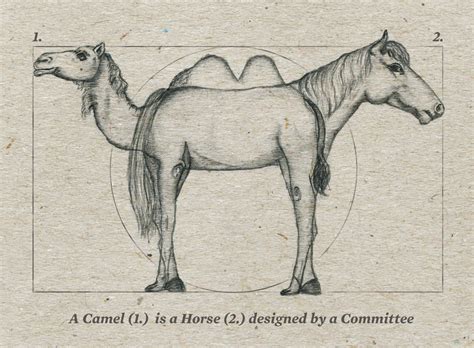 Camel is a good source of meat in areas where the climate adversely affects other animals. design by committee - modern8