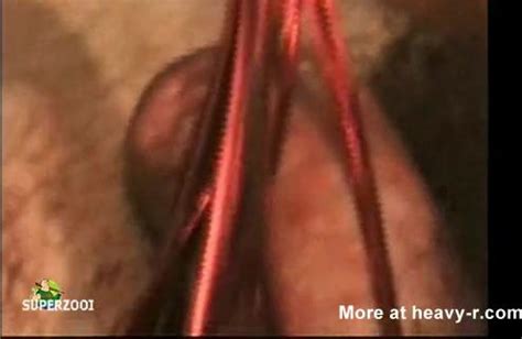 Bleeding Cock And Balls HD Porn Videos Sex Movies Porn Tube
