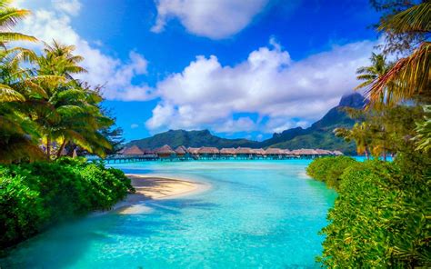 Bora Bora French Polynesia Nature Landscape Beach Sea Palm Trees Island Resort Summer