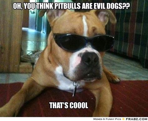 Oh You Think Pitbulls Are Evil Dogs Teach Dog Tricks Pitbulls