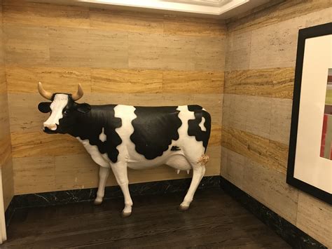 my hotel has a cow statue in the lobby r funny