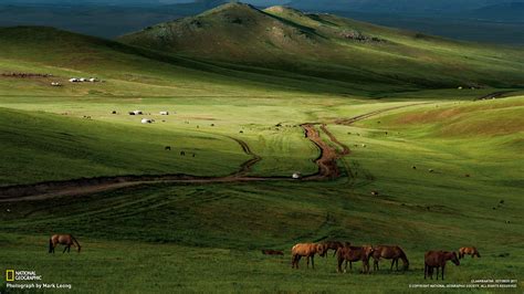 horses mongolian steppe national geographic  wallpapers   preview wallpapercom