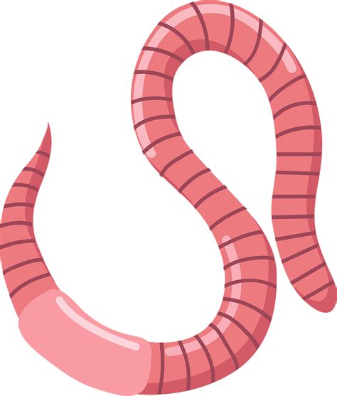 Earthworm Clipart Free Download Transparent Png Creazilla
