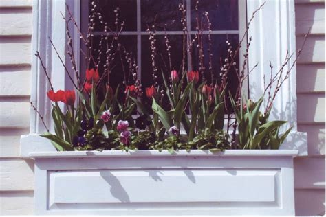 We did not find results for: Best Flowers for Spring Window Boxes
