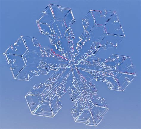 Solvin Zankl ⁑fotograf ⁑photographer Snow Crystal Snowflakes