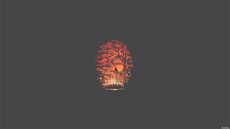 Forest Minimalist Hd Artist 4k Wallpapers Images Backgrounds