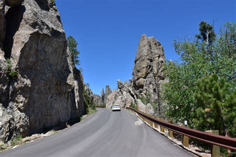 10 Reasons To Visit Custer State Park In South Dakota Dang Travelers