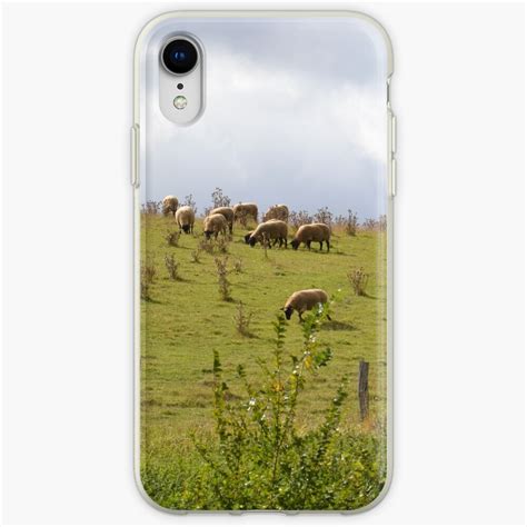 Sheep Iphone Case And Cover By Azyrielle Redbubble