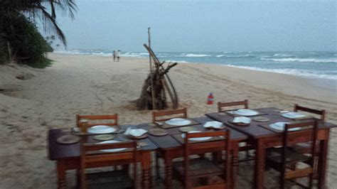 Haus am meer wilde ananas. Haus am Meer in Sri Lanka kleines Hotel direkt am Strand Beach