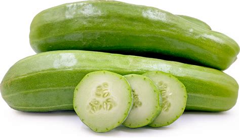 Oriental Pickling Cucumber Melon Information And Facts