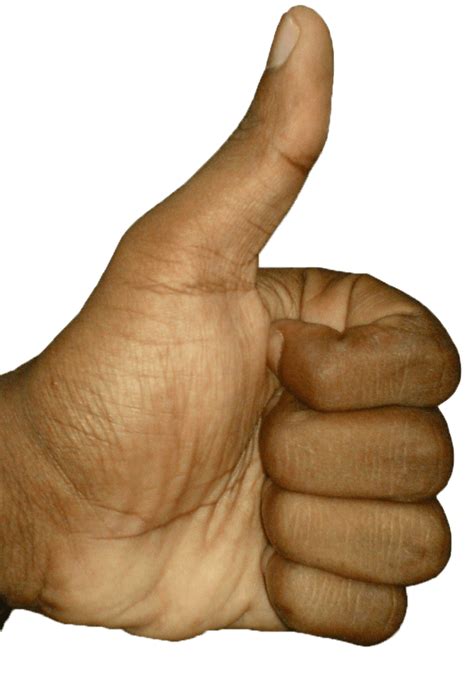 Download High Quality Thumbs Up Transparent Brown Transparent Png
