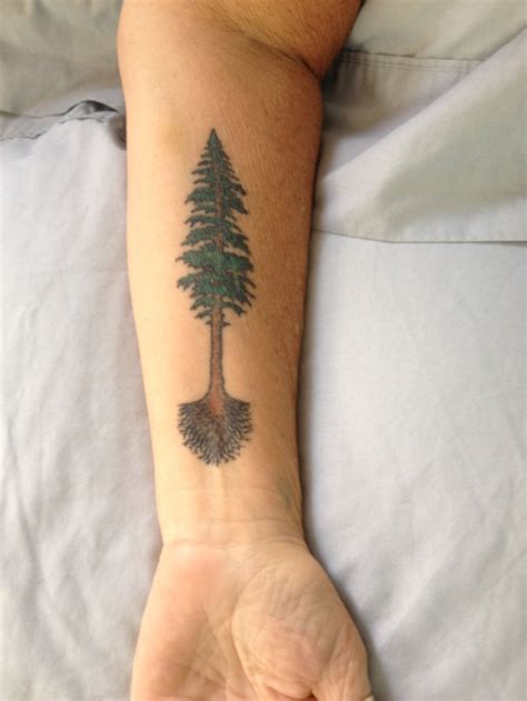 Tree Tattoo Redwood Tree Your Number One Source