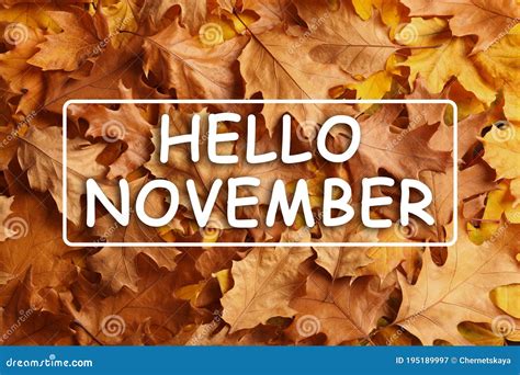 Hello November Card Text Over Golden Autumn Leaves Stock Image Image