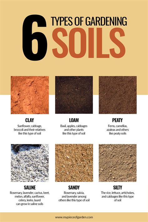 Which Types Of Soil For Your Indoor Garden Types Of Soil Soil