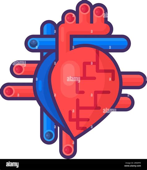 Órgano Cardíaco Con Arterias Y Vasos Dispositivo De Icono Lineal