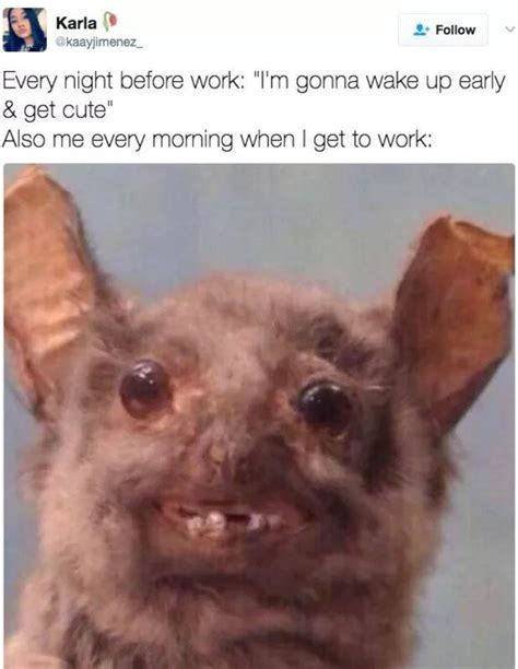 The best site to see 30 Work Memes to Get You Through the Day
