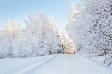 Here you can find the best snowfall wallpapers uploaded by our community. Free photo: Snowy trees - Beautiful, Big, Countryside ...
