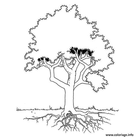 Coloriage Un Arbre Dessin Arbre à Imprimer