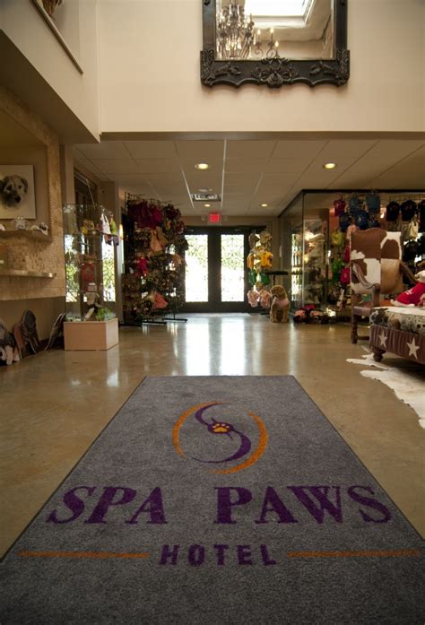 Lucky angkor hotel & spa. Gallery :: Spa Paws Hotel